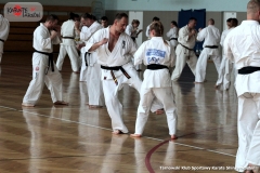 Trening-Shihan-Gwizd-2019-11