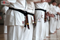 Trening-Shihan-Gwizd-2019-14