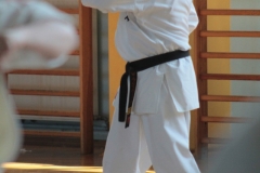 Trening-Shihan-Gwizd-2019-16