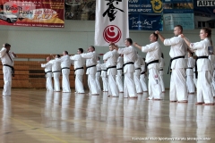 Trening-Shihan-Gwizd-2019-21
