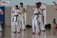 Trening-Shihan-Gwizd-2019-22