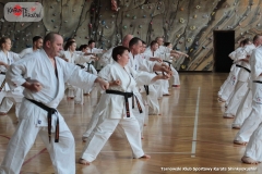 Trening-Shihan-Gwizd-2019-26